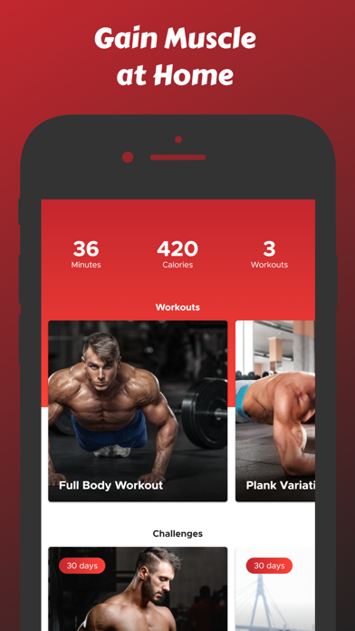 Build Muscle at Home Screenshot