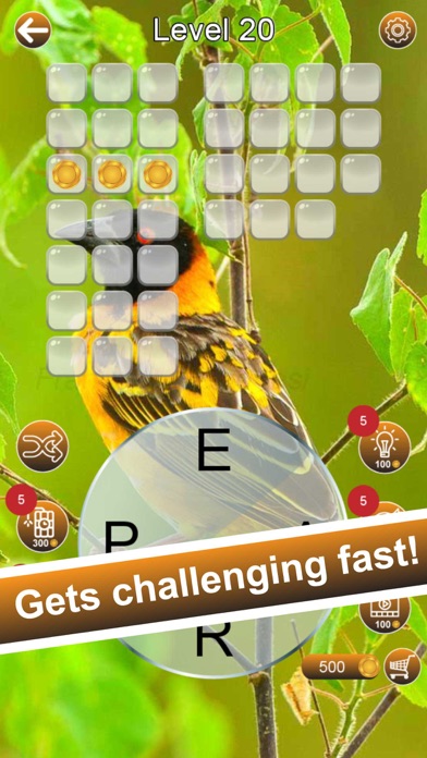 Word Soar - Fun Puzzle Game Screenshot