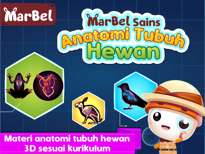 Marbel Sains  Anatomi Hewan