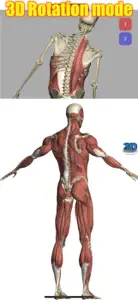 Visual Anatomy screenshot #4 for iPhone