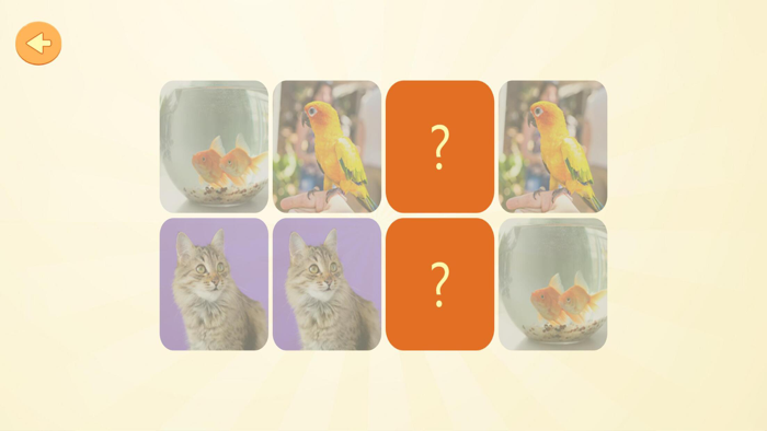 Hayvanları Öğreniyorum 4 Yaş