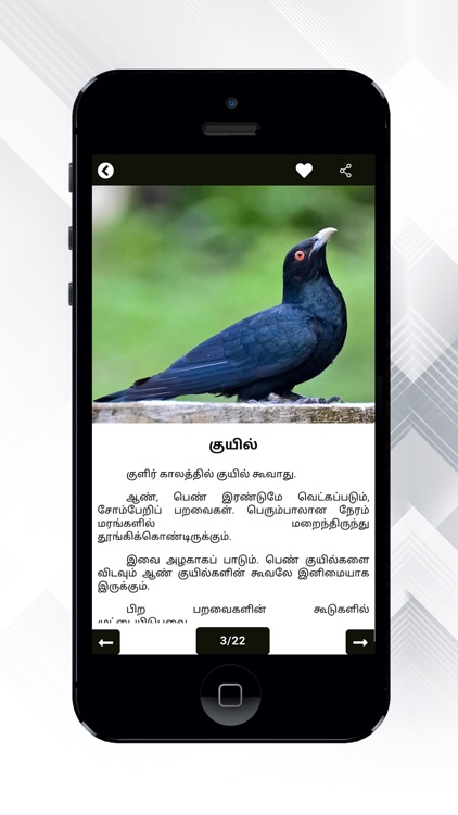 Theriyuma learn GK in Tamil screenshot-8