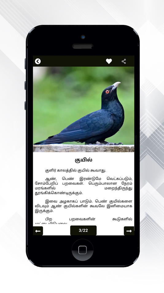 #9. Theriyuma learn GK in Tamil (iOS) 由: Merbin Joe