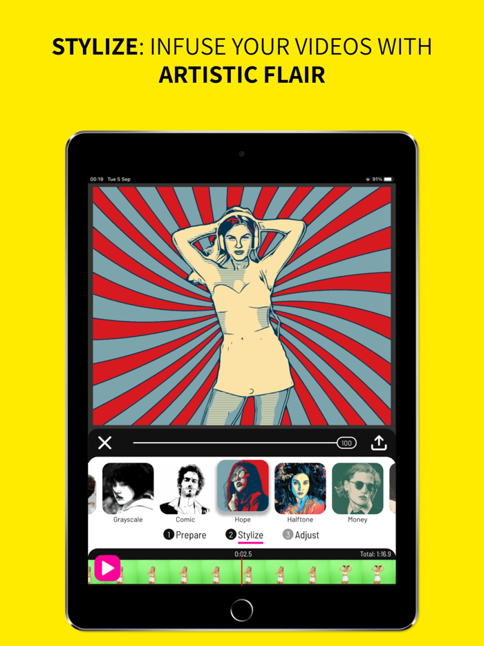 Toonita Video Pop Art Filters