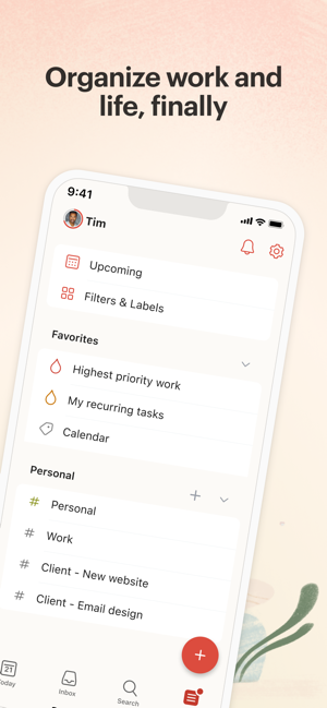 ‎Todoist: To Do List & Planer Screenshot