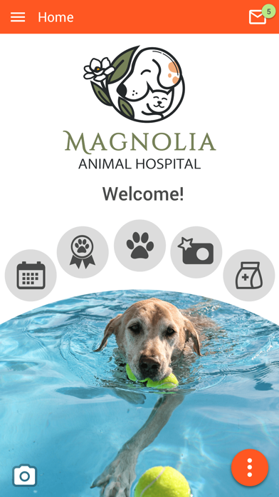 Magnolia Animal Hospital Screenshot