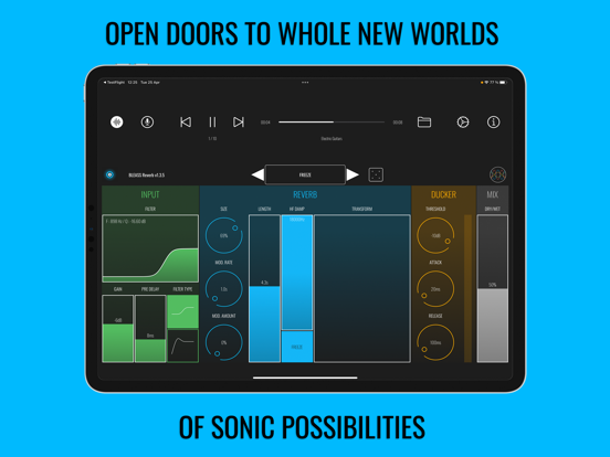 BLEASS Reverb iPad app afbeelding 3