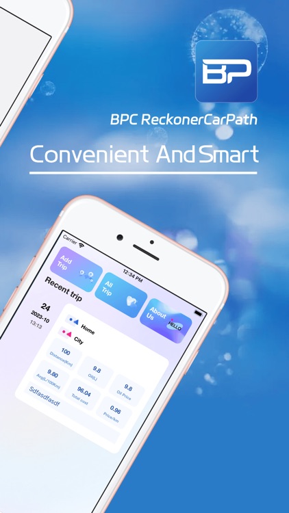BPC ReckonerCarPath