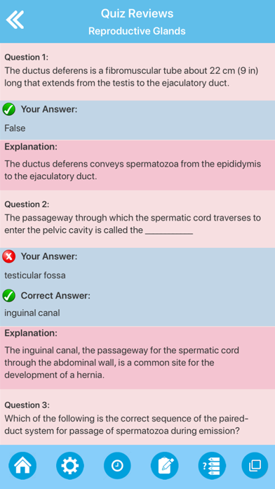 Male Reproductive System Screenshot