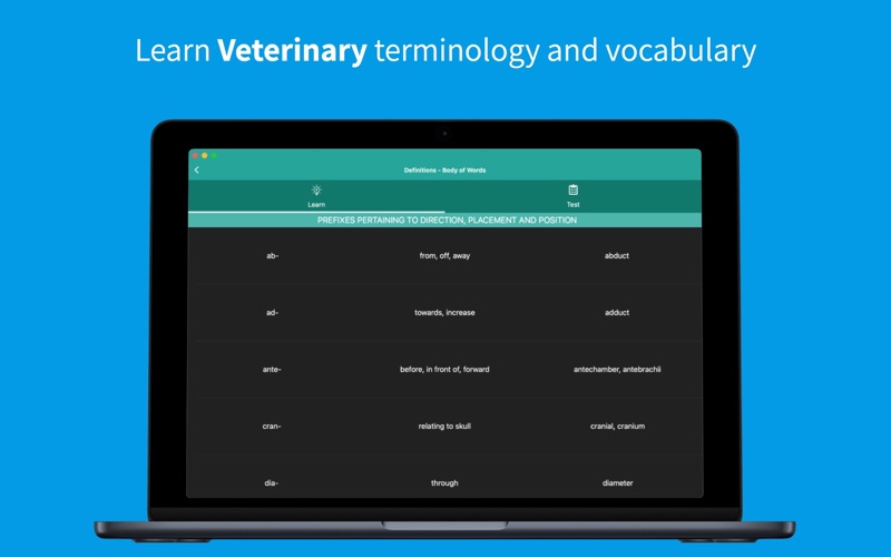 Equine Anatomy Learning Screenshot