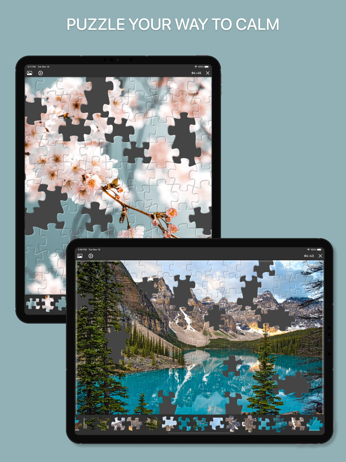 Jigsaw Puzzle Game for Family