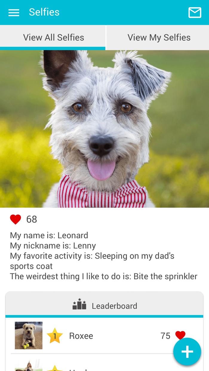 Newaukum Valley and River Bend