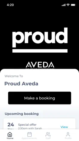 Game screenshot Proud Aveda mod apk