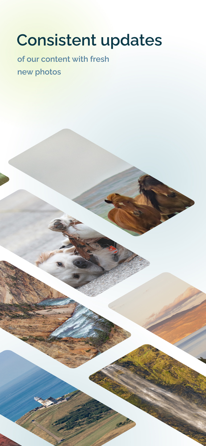 Look Around – Wallpapers