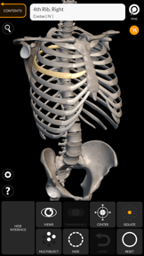 Skeleton 3D Anatomy screenshot