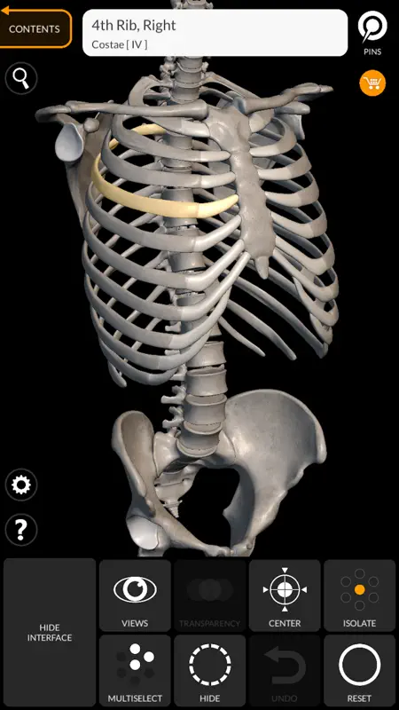 Skeleton 3D Anatomy screenshot 2 of 6