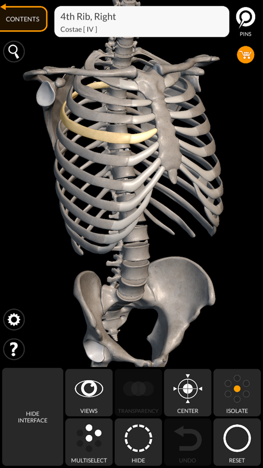 #2. Skeleton 3D Anatomy (iOS) 게시자: Catfish Animation Studio