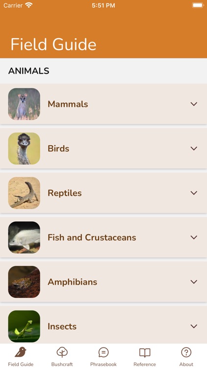 Ngarinyin screenshot-6