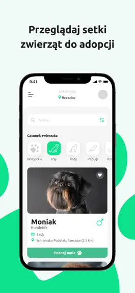 Game screenshot Łappka mod apk