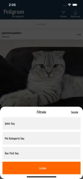 Game screenshot Petigram Pet Adoption hack