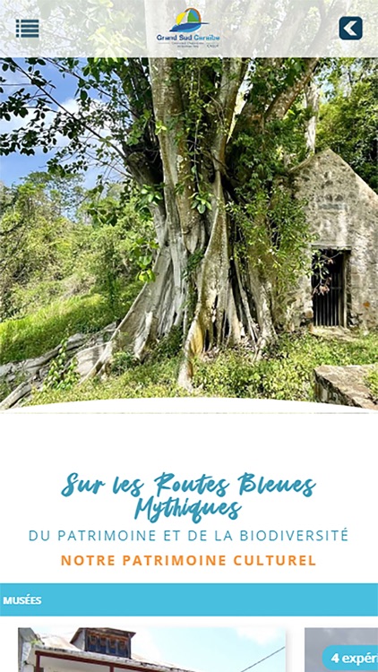 Routes Bleues GrandSud Caraibe screenshot-3