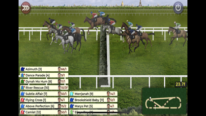 Starters Orders horse racing Screenshot