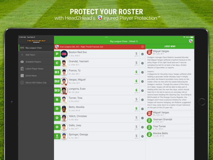 H2H Fantasy Baseball