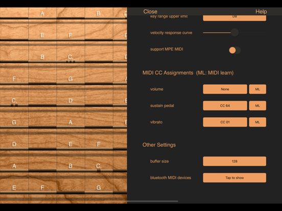 Screenshot #2 for iFretless Guitar