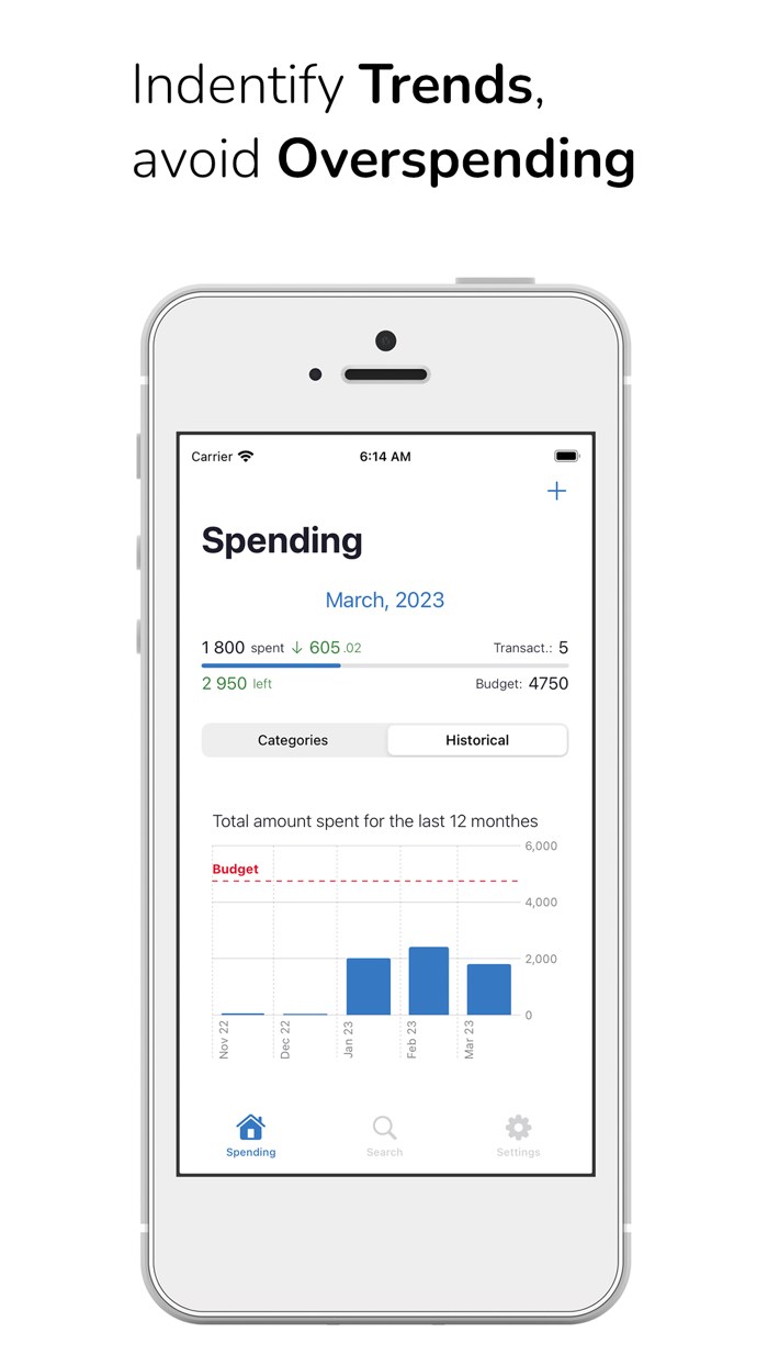 Mindful Expenses Budget