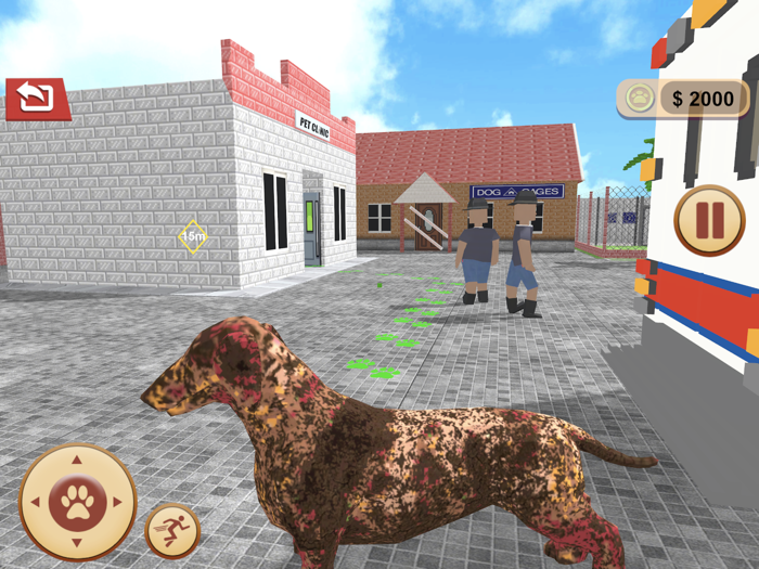 Craft Animal Rescue Shelter 3D