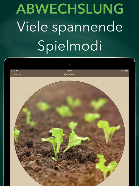 Screenshot #5 pour Dativ, Genitiv & Co.