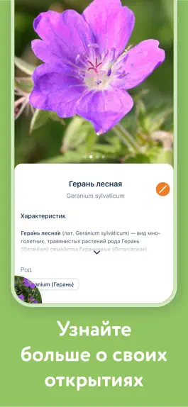 Game screenshot Flora Incognita hack