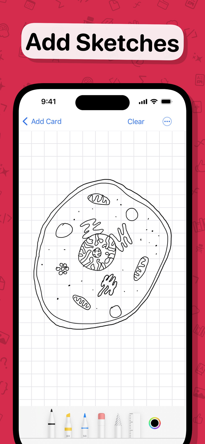 Flashtex Learn Flashcards