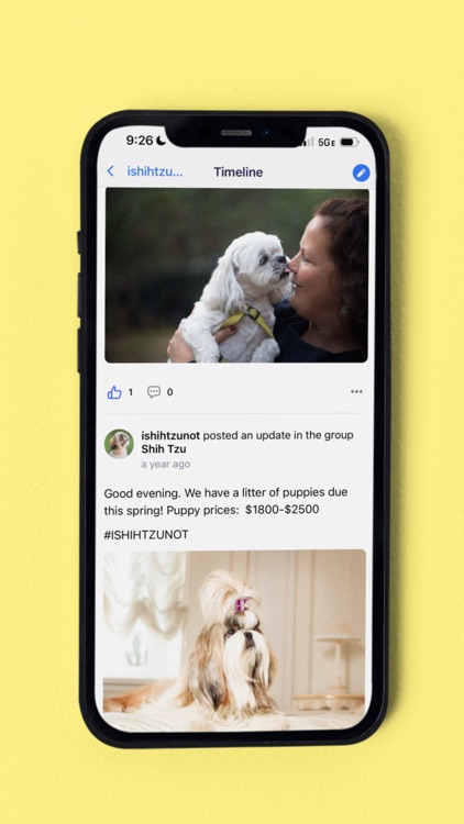 BULLYCRUSH screenshot-9