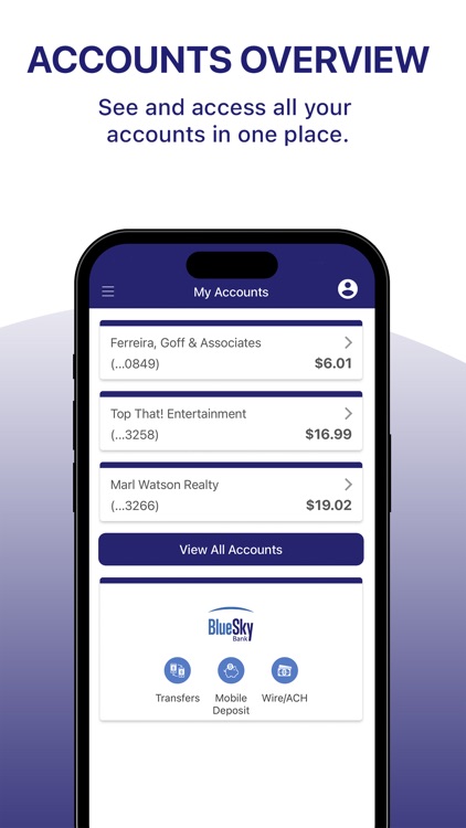 Blue Sky Bank Business screenshot-3