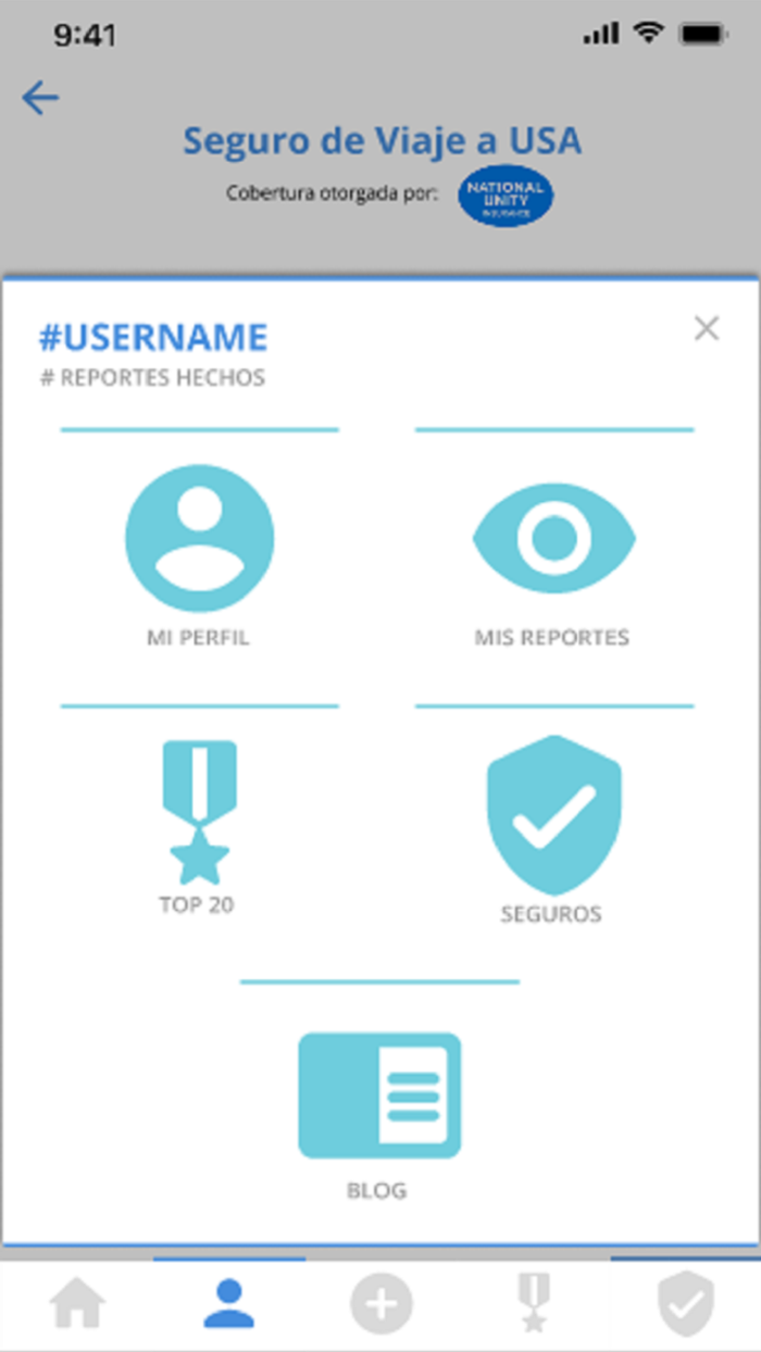 Al Puente  Reporte De Puentes