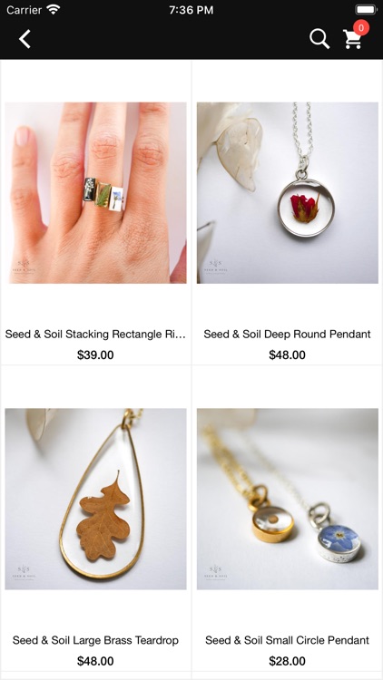 The Southern Decorista