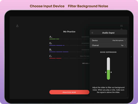 Fret Pro Guitar Notes Trainer iPad screenshot 5 - Education app