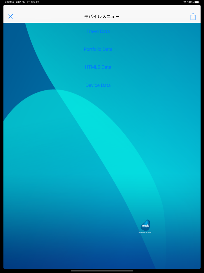 Magic xpa 4.8 Client 日本語版