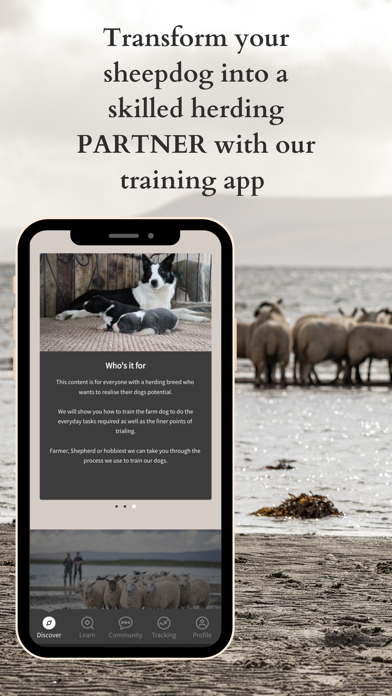 Sheepdog School Screenshot