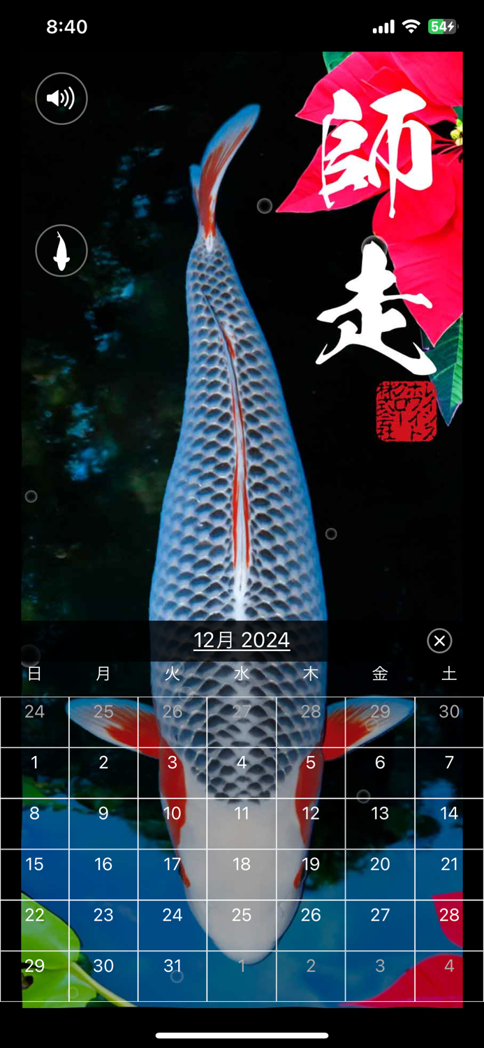 錦鯉四季暦　～にしきごいしきごよみ～