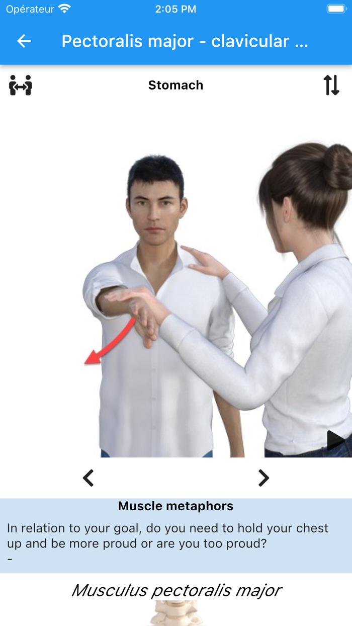 Touch For Health - Animated