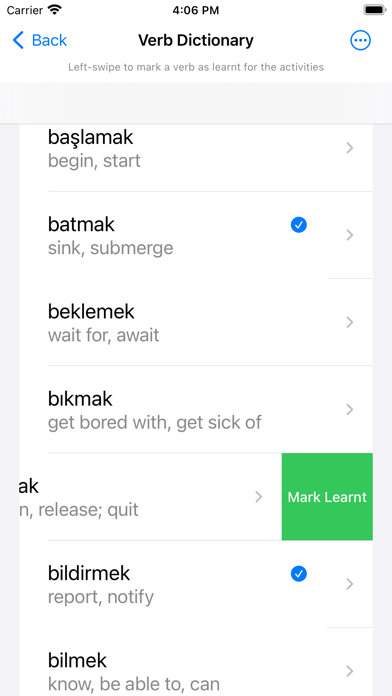 Turkish Verb Blitz Screenshot