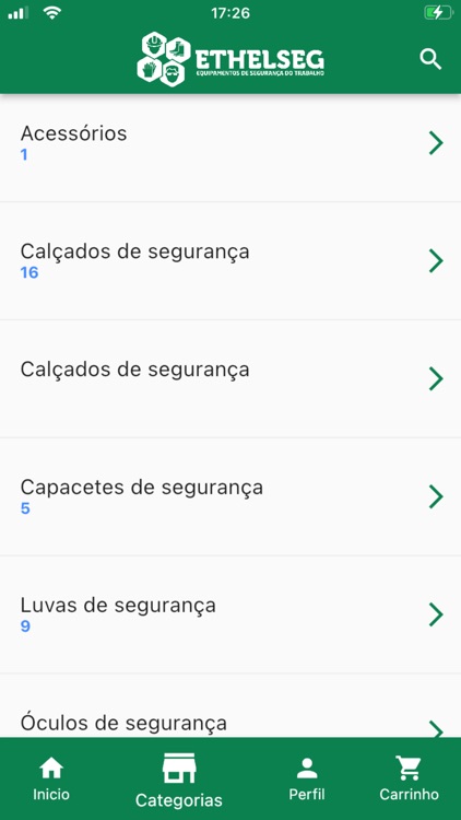 Ethelseg screenshot-3