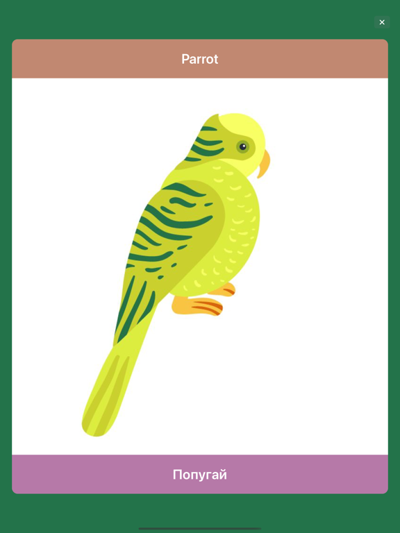 Doman Flashcards – Educational iPad screenshot 4 - Education app