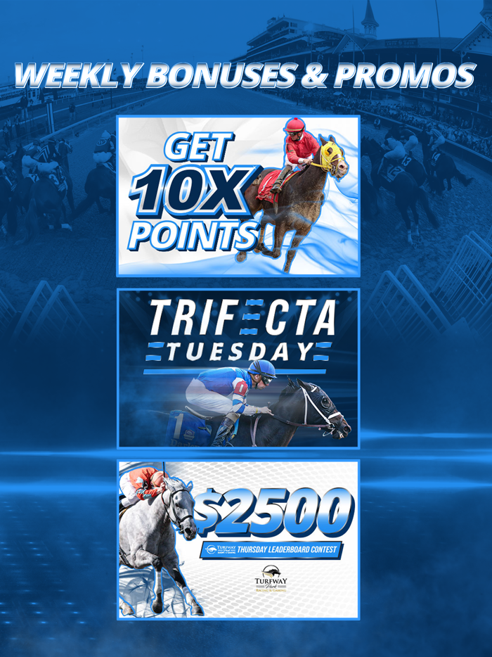 TwinSpires Horse Race Betting