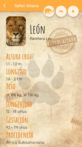 Game screenshot Safari Aitana apk