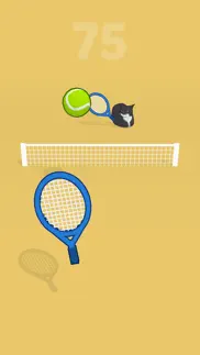 tennis cat 3d problems & solutions and troubleshooting guide - 4