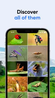 bug id: insect identifier ai iphone screenshot 2