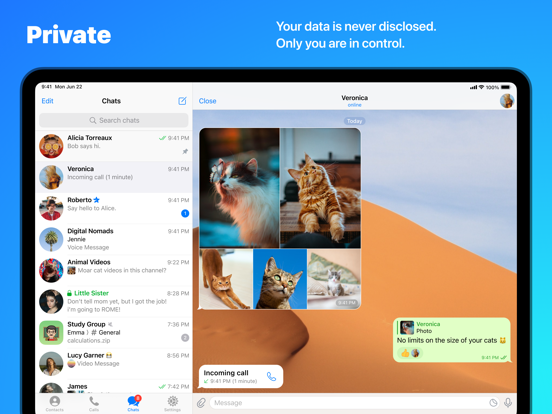 Telegram Messenger iPad app afbeelding 4